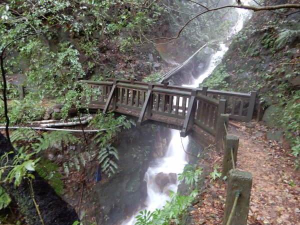 魚路古道北段+挑硫古道+大油坑山O型816228