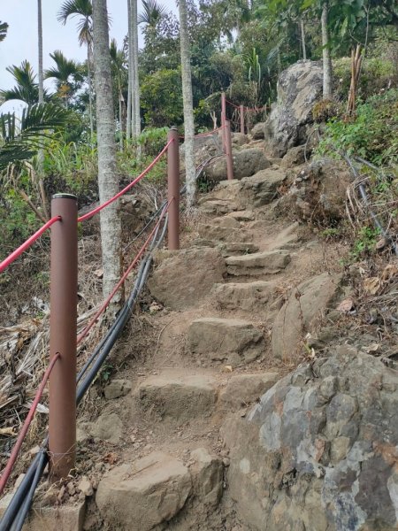 嘉義［阿拔泉山稜線步道］+太平雲梯2235714