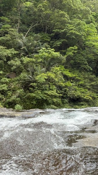 戲水（耘雲姊2786116