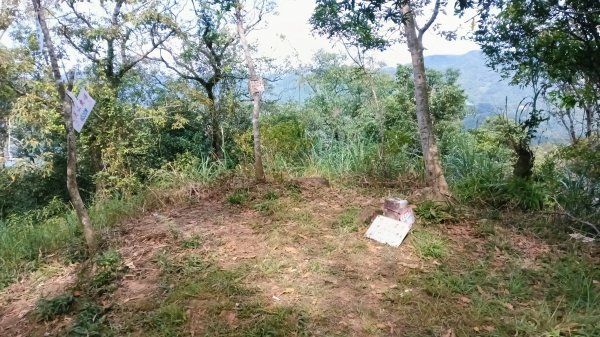 坪林區金瓜寮土地公-火炎山東峰-火炎山-火炎山南峰-金瓜寮土地公O型3138298