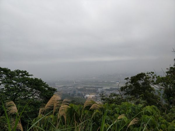 180224-劍潭山親山步道274010