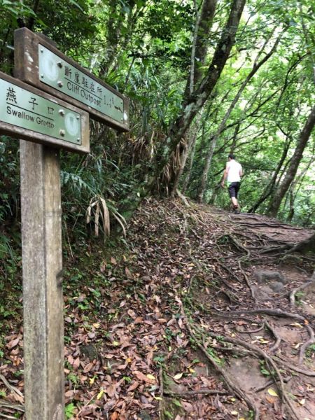 1070610錐麓古道349157