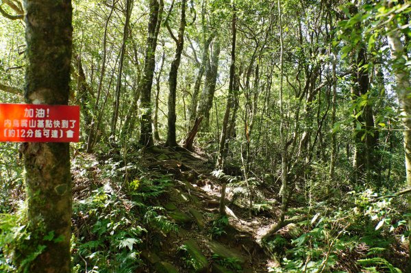 新竹 尖石 內鳥嘴山2899173