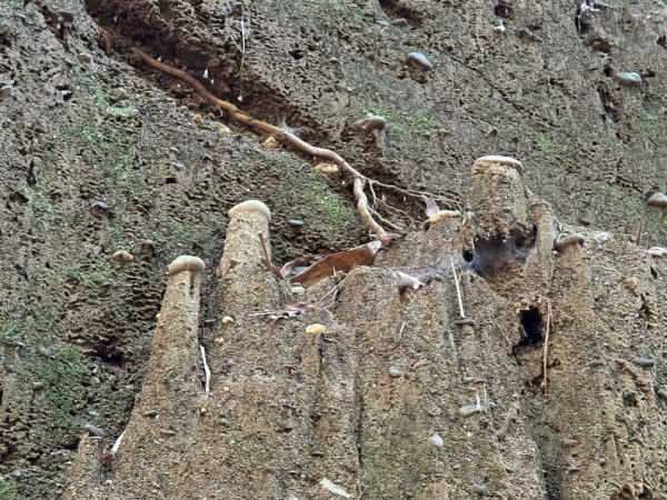 彰化一線天2657585