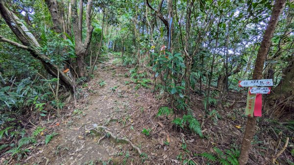 石笋古道,遇見雞母嶺2340706