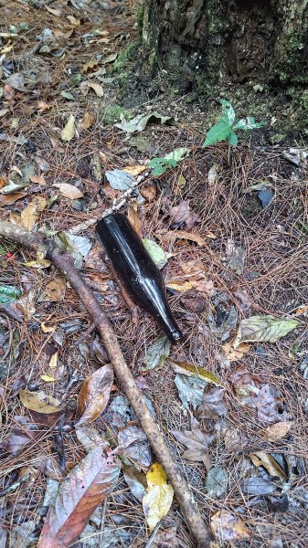 屯野生台山、石麻達山2993156