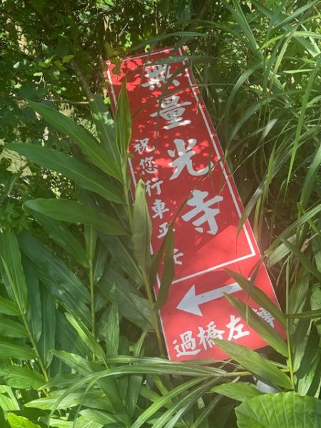 20250601 柑柑柑腳山2801029