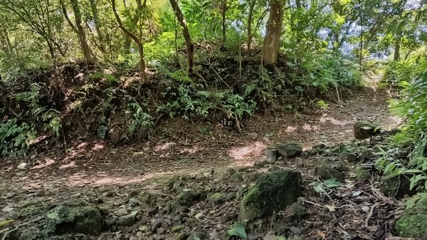 瑞芳區瑞竹步道-大坑埔山-月眉砲台-月眉山-長命山-大水堀山3081564