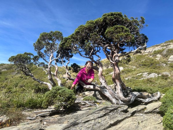 合歡山北峰2908747