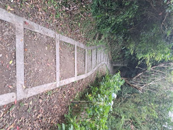 新北硬漢領步道3105920