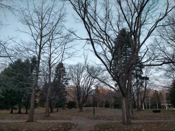 日本北海道札幌中島公園2759666