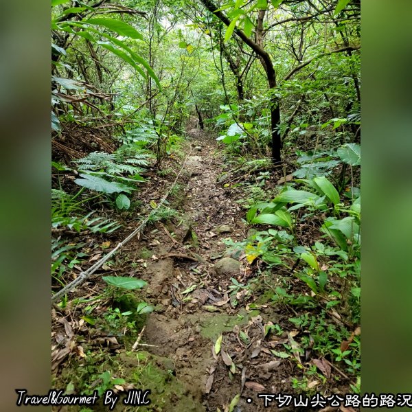 【黃金十稜之首基隆山縱走雷霆峰下山尖o型走】2038199