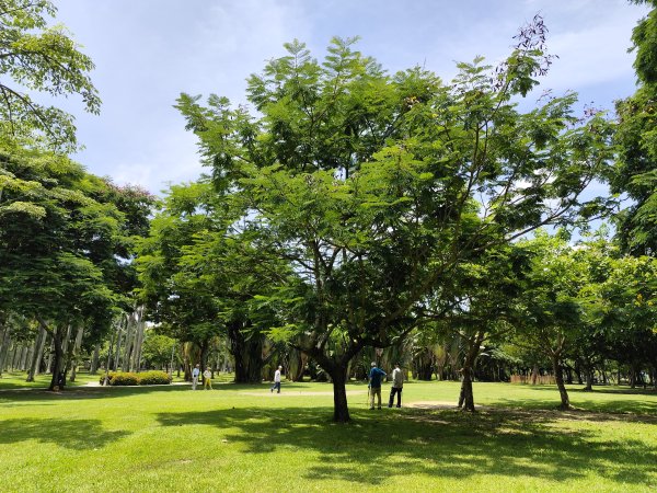 大安森林公園【走路趣尋寶】【臺北健走趣】2551445