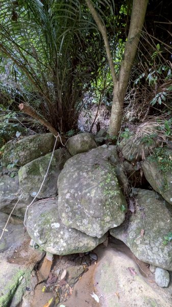 114.05.17聖人崙-聖人瀑布之旅2789503