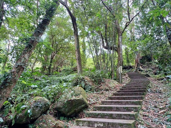 【苗栗南庄】沿途潺潺溪水聲。 蓬萊溪護魚步道2688926