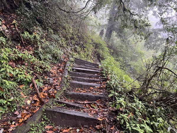 [玉山尋寶任務-01/12] 2025_0726 庫哈諾辛山登山步道2847382