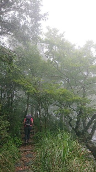 太平山2541793
