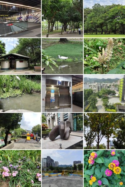 大安森林公園、港墘公園、大港墘公園【走路趣尋寶】【臺北健走趣】2587276