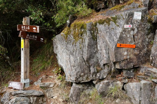 南投 信義 玉山前峰2352065