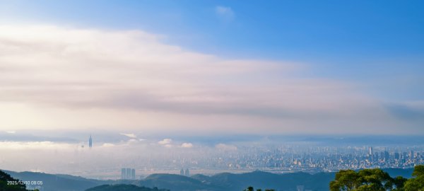 陽明山趴趴走 12/102958579