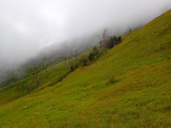 【新聞】雨神同行來登山 做好計畫才是神