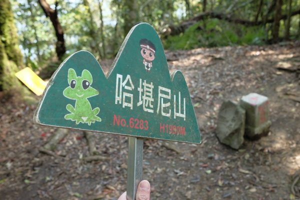 苗栗南庄鄉 二訪加里山 ‧ 2025春 哈加2753381