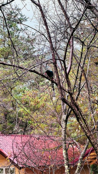 2025北港溪溫泉2699651