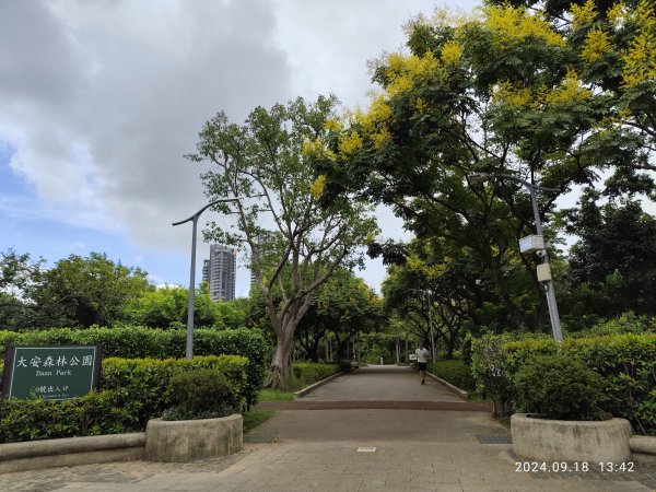 大安森林公園、大稻埕、大港墘公園【走路趣尋寶】【臺北健走趣】2598311