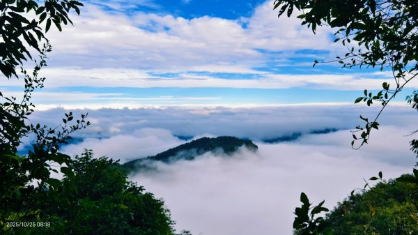 #馬那邦山 #琉璃光 #日出 #雲海 #山羌 #楓葉 10/25 & 11/12924614