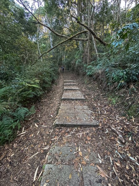 水社大山-鳥瞰日月潭2401854