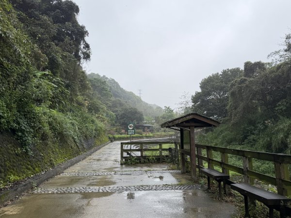 [樟之細路_第一大段RSA01] 2026_0329 清水坑溪景觀3026593