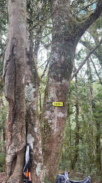 20251004-06戒茂斯嘉明湖2914197