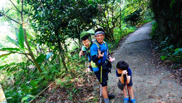 關子嶺大凍山親子登山趣(2nd)744143