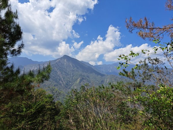 小出山(惠蓀林場上)202304162118351