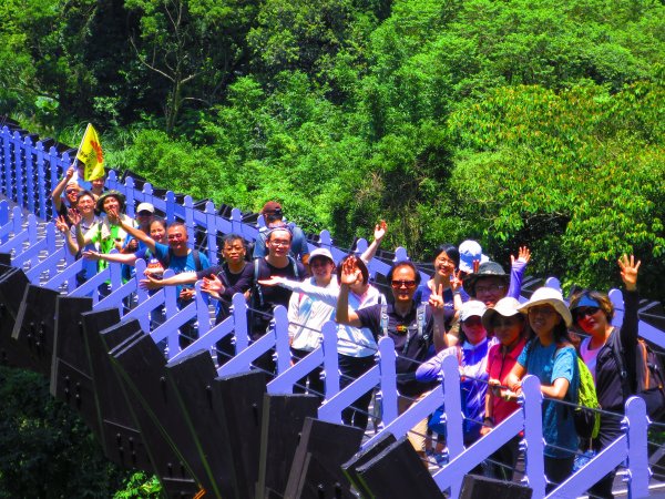 搭著捷運去旅行-白石湖賞花輕旅行610472