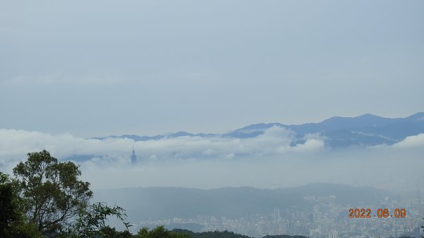 雲山水花鳥蝶 - 雲霧飄渺間的101大樓也是天空之城 ?1731662