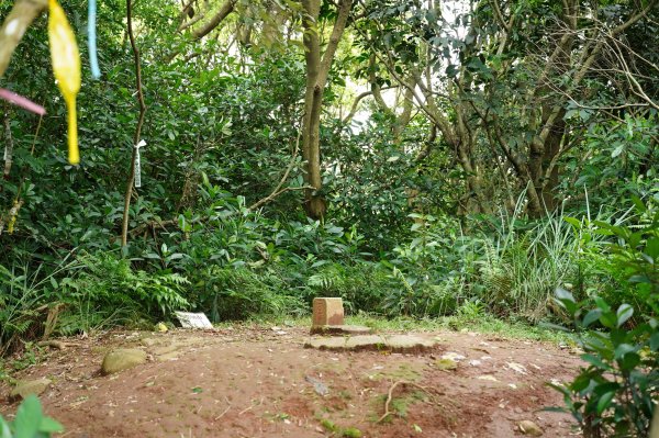 臺北 北投 嘎嘮別山、稻香山、貴子坑山2760544