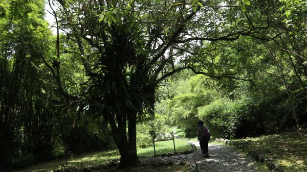福山植物園登山健行趣(步道)2269396
