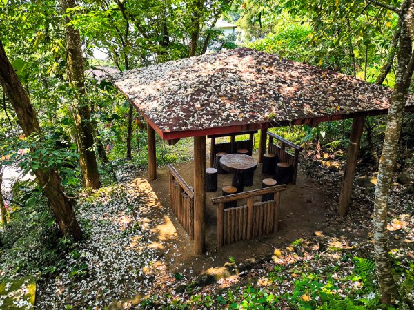 2025-04-27 三員縱走