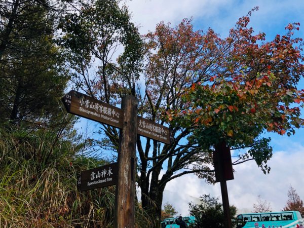 1081207大雪山神木.天池.埡口769840