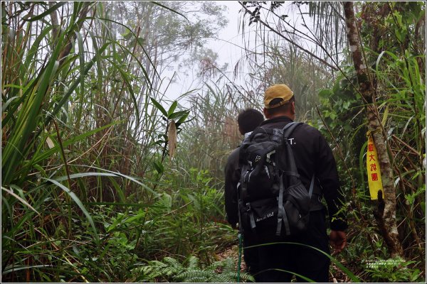 萬人山-2023年11月12日2347855