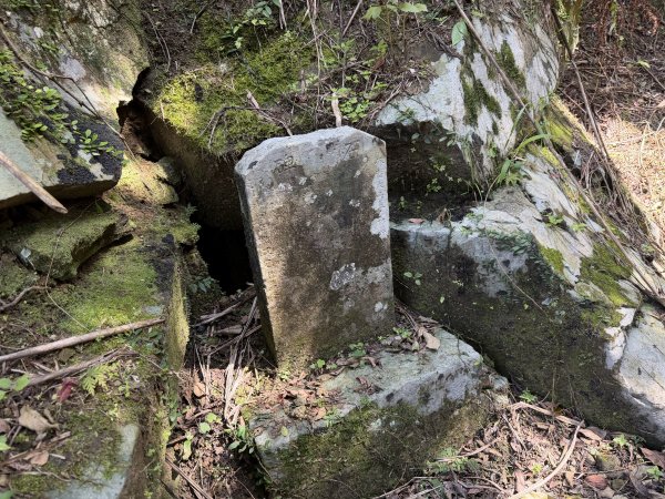 [淡蘭古道] 2026_0315 南路第三段_四分子古道3016928