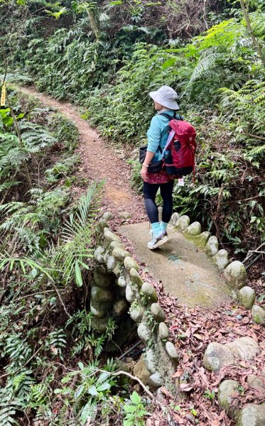 大艽芎古道縱走 新/溪州山(小百岳#23) 出溪州公園2893948