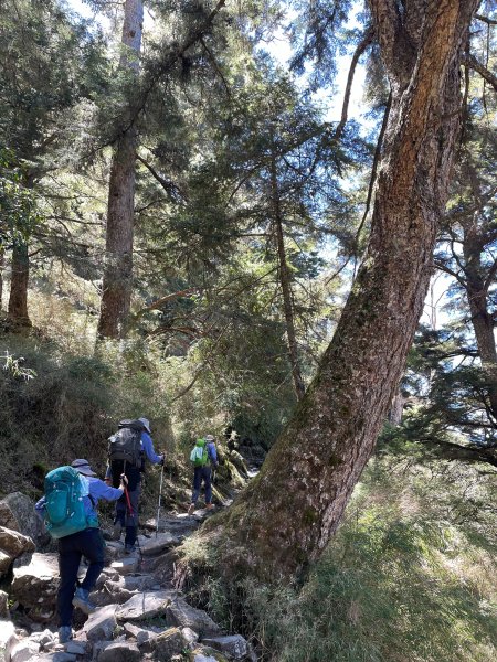 【健人HIKERS】兩天一夜玉山主峰、玉山西峰2769124