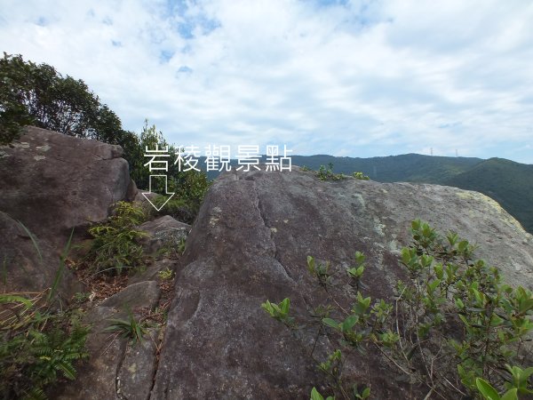 汐止區彩虹橋岩稜+柯子林山+金明山+如意湖O型2776158