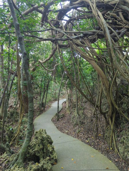 2024.06.09－墾丁國家公園2523857