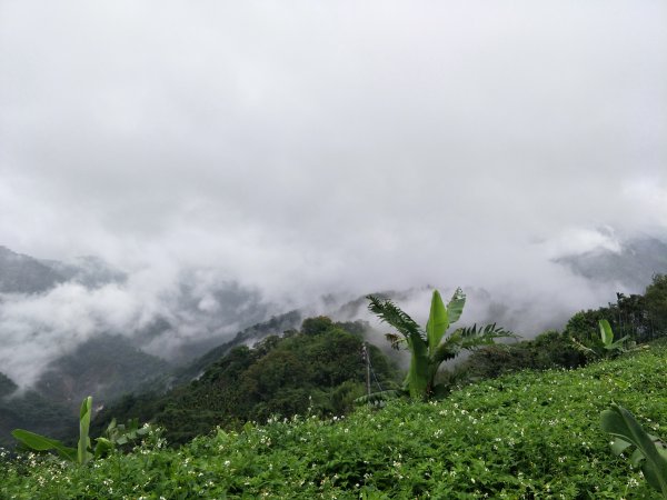 舊小百岳-尖凍山202105061417767