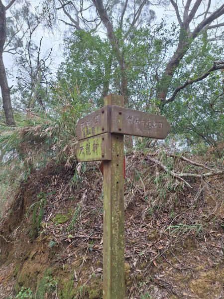 劍潭古道202503122734301