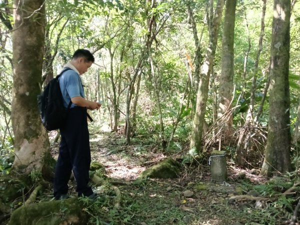 雙溪區內盤山坑古道+石硿子越嶺古道+盤山坑古道+過火坪古道O型2914391