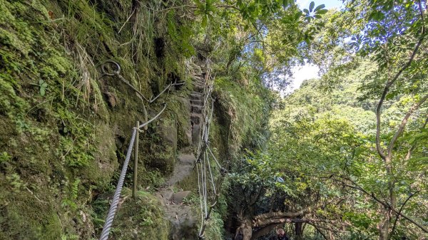 115.07.26孝子山-慈母峰-嶺腳瀑布-望谷瀑布之旅3091116